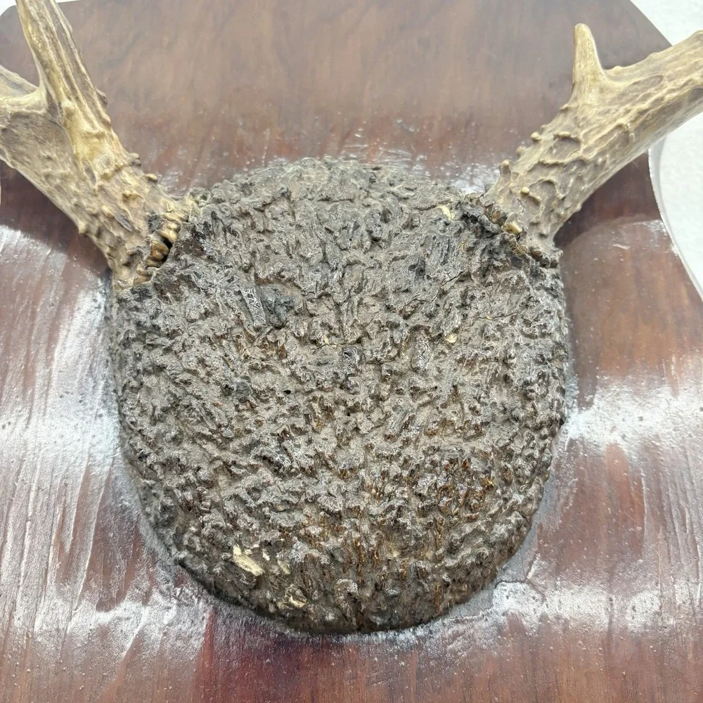 N/A rustic deer